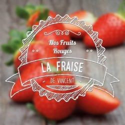 Fraise - VDLV