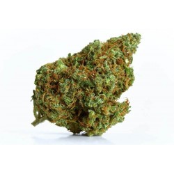 PACK CBD TANGIE GOLDEN BUDS Cartouche 0.5 ml