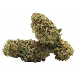 Fleur CBD Arjan's Strawberry Haze