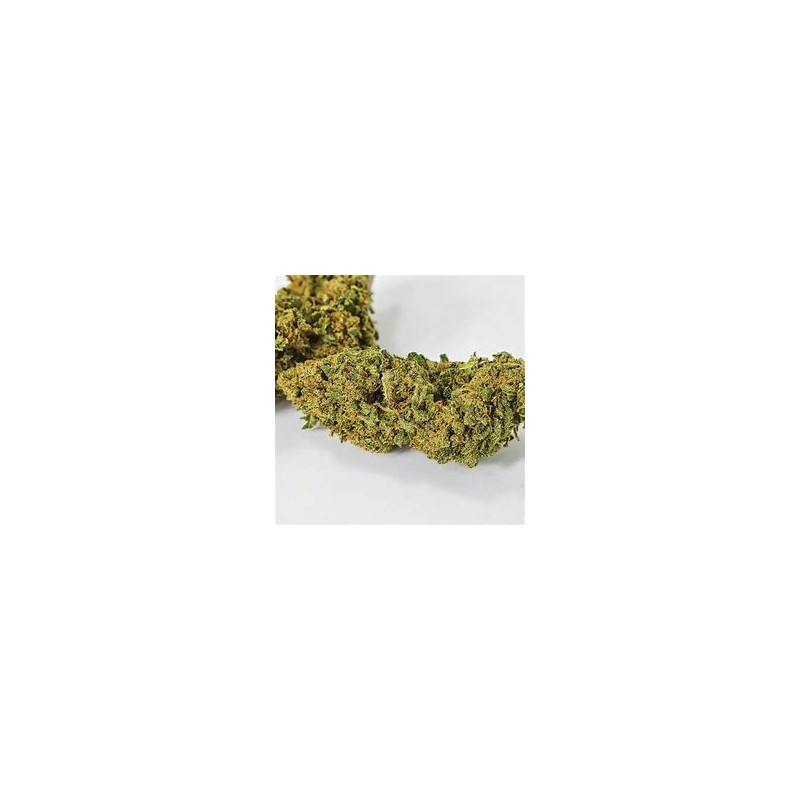 Fleur CBG Super Glue CBG