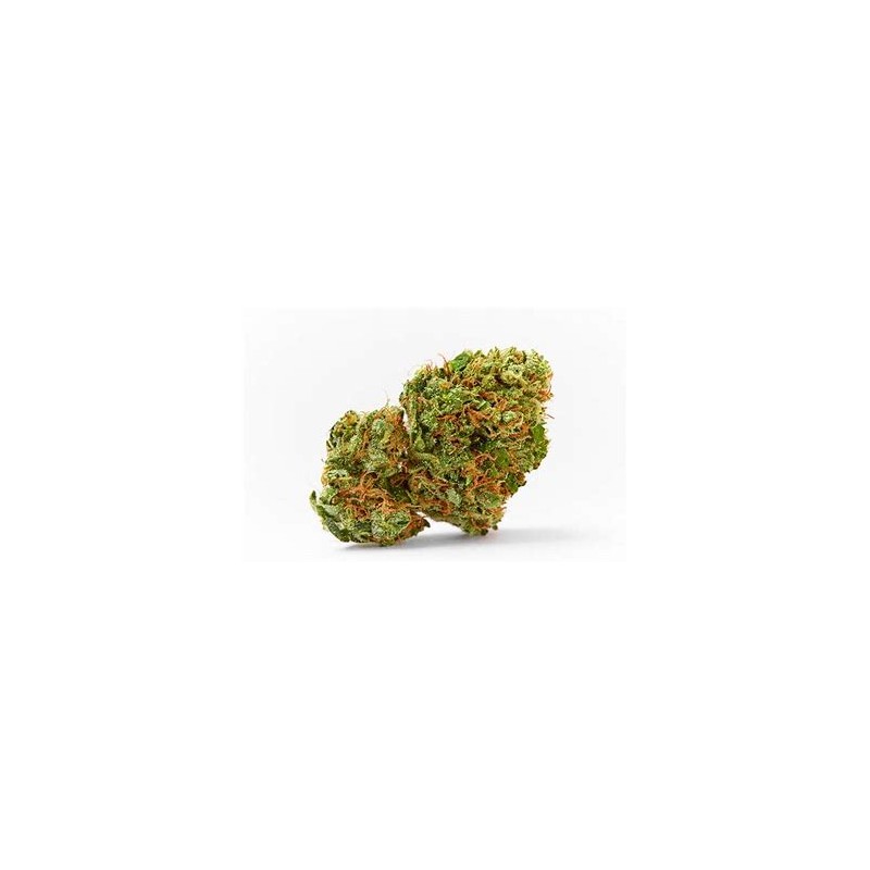 Fleur de CBD Knock Out