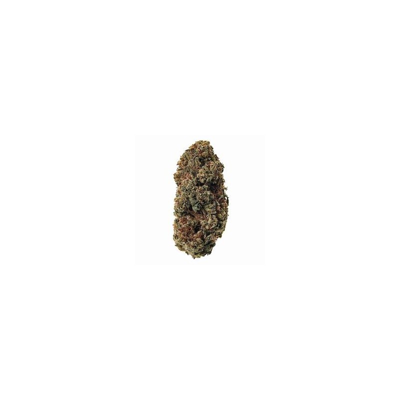 Fleur de CBD Laughing Buddha