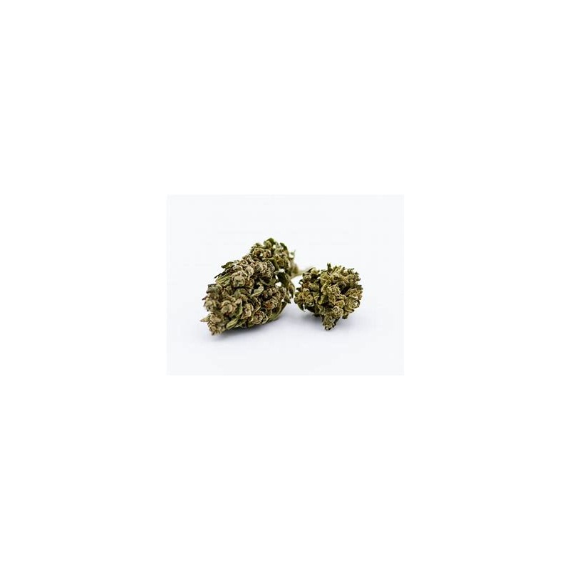 Fleur de CBD Lemon Sativa