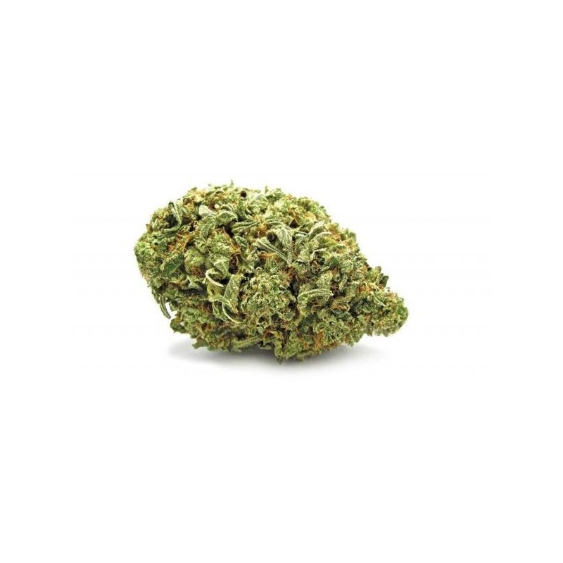 Fleur de CBD LOUD
