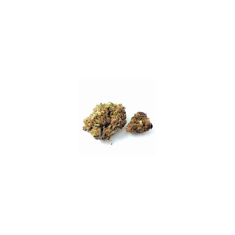 Fleur de CBD Poison Haze