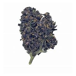 Fleur de CBD Purple Haze