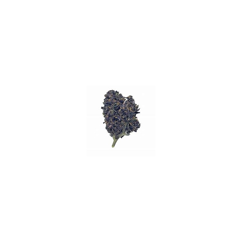 Fleur de CBD Purple Haze