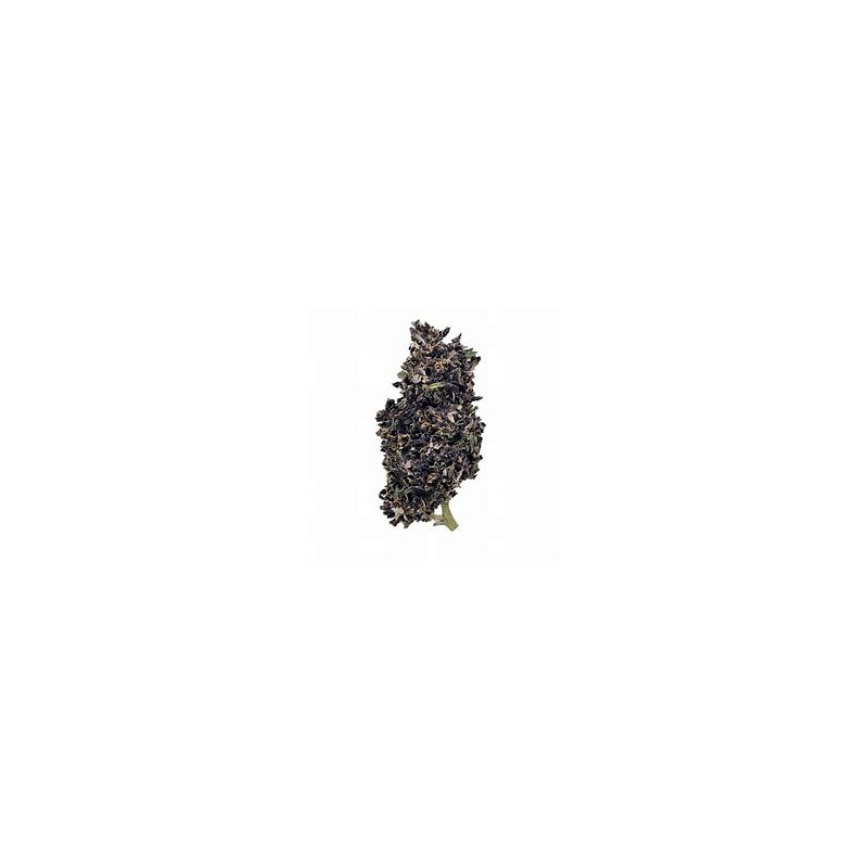 Fleur de CBD Purple Maroc