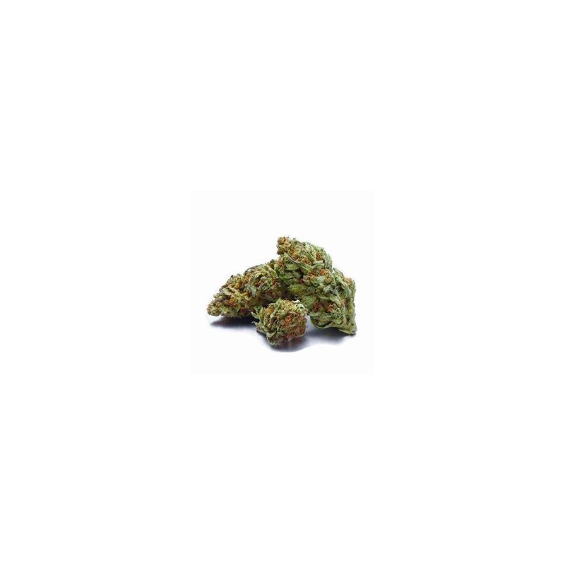 Fleur de CBD Rafael