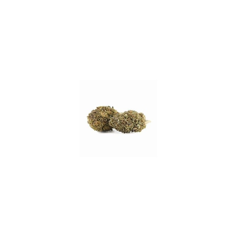 Fleur de CBD Reggie