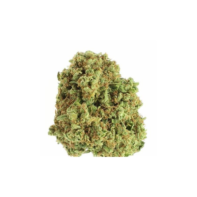 Fleur de CBD Snowcap