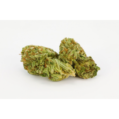 Medterra Max Relief CBD GummiesPrice Archives