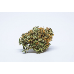 Fleur de CBD Doyon Bud