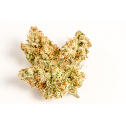 Fleur de CBD G Stik “Amarillo”