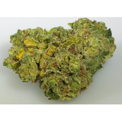 Fleur de CBD Goldwing