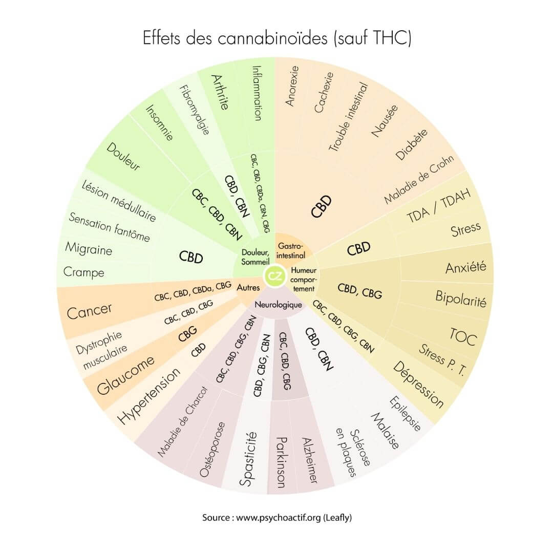 Effets cannabinoïdes