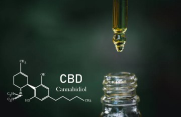 Qu'est-ce que le CBD cannabidiol ?