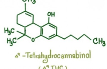 Qu'est-ce que le THC delta 9 tétrahydrocannabinol ?