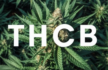 Qu'est-ce que le THCB (Tétrahydrocannabutol) ?